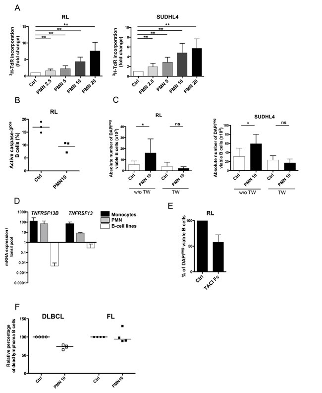 Neutrophils directly sustain the growth of malignant B-cell lines.