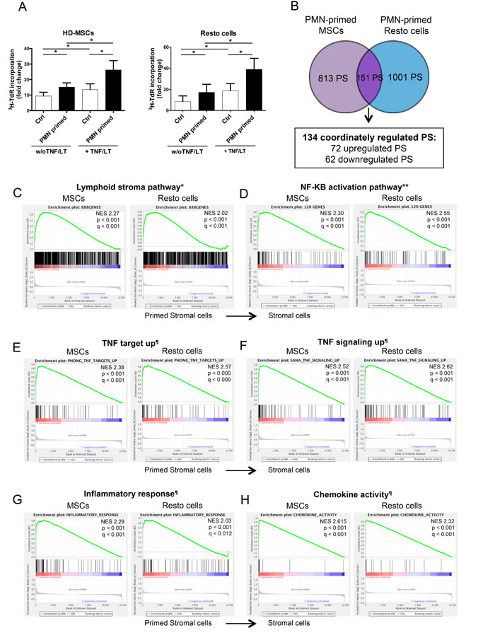 Neutrophils induce a specific B-cell supportive inflammatory profile in stromal cells.