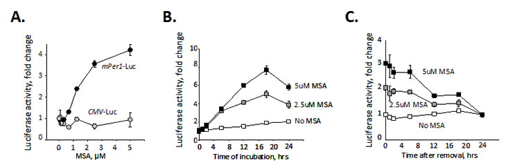 Selenium specifically activates circadian promoter in a time and dose-dependent manner.
