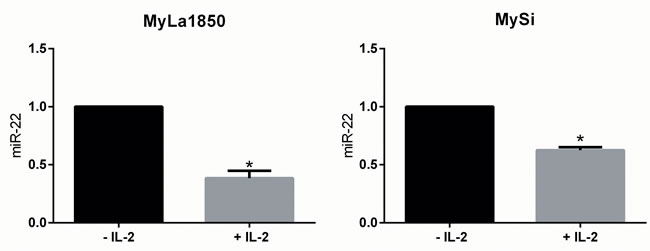 Effect of the T cell growth factor, IL-2, on miR-22 expression.