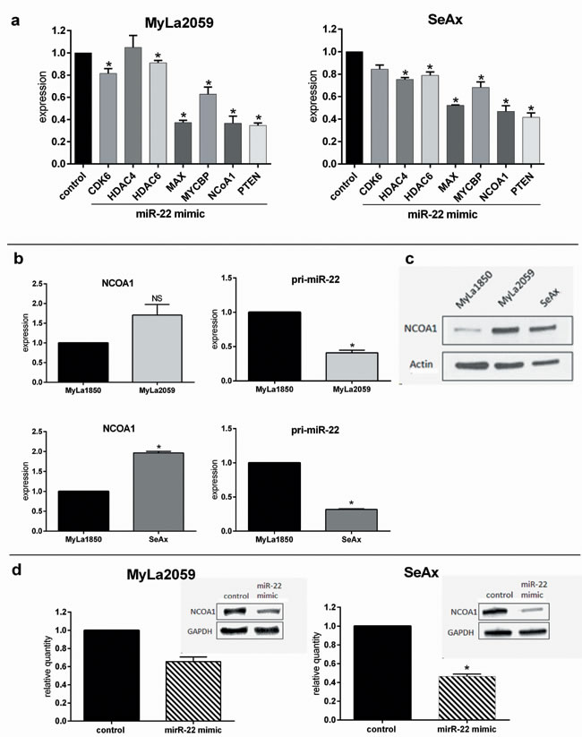 Expression of previously verified miR-22 targets are decreased by miR-22 mimic in malignant CTCL cell lines.