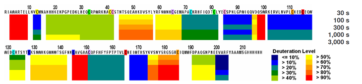 Hydrogen/deuterium exchange map of the recombinant human folate receptor alpha (rFRA) in solution.