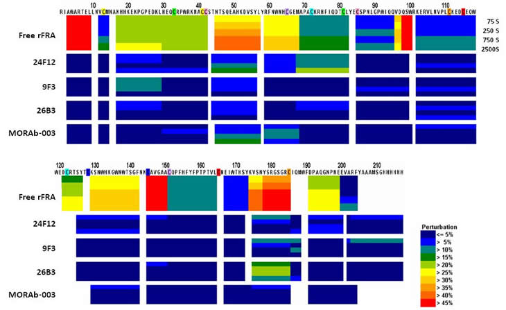 H/D mapping of anti-FRA mAb epitopes via hydrogen/deuteration exchange of FRA upon antibody complexation.