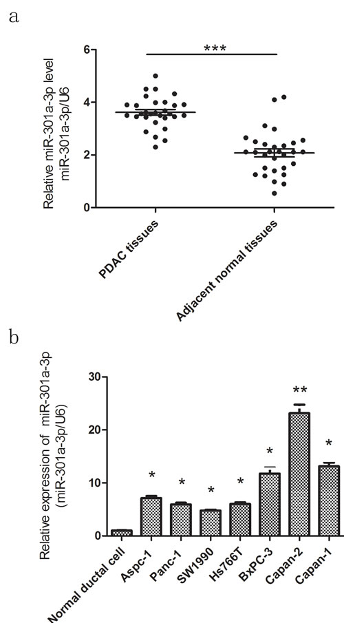 MiR-301a-3p is up-regulated in PDAC tissues and cell lines.