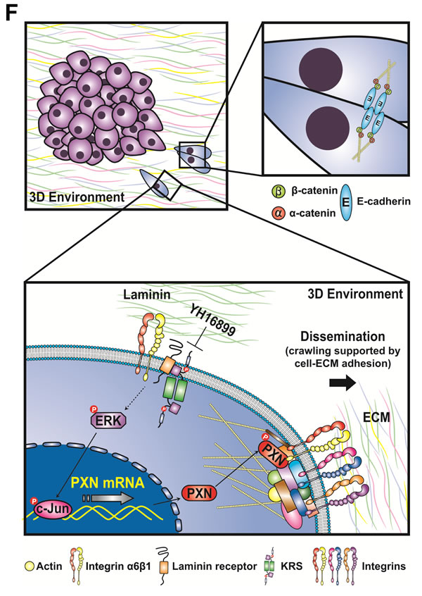 fig6a