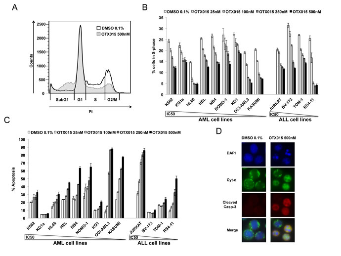 Effect of OTX015 on the cell cycle and apoptosis in AML and ALL cell lines.