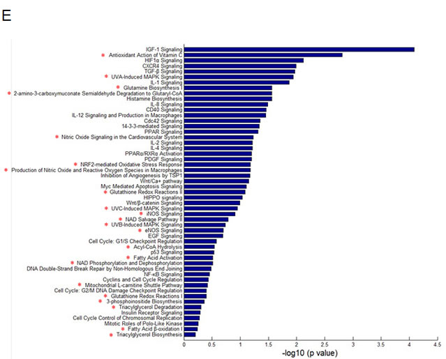 fig1e