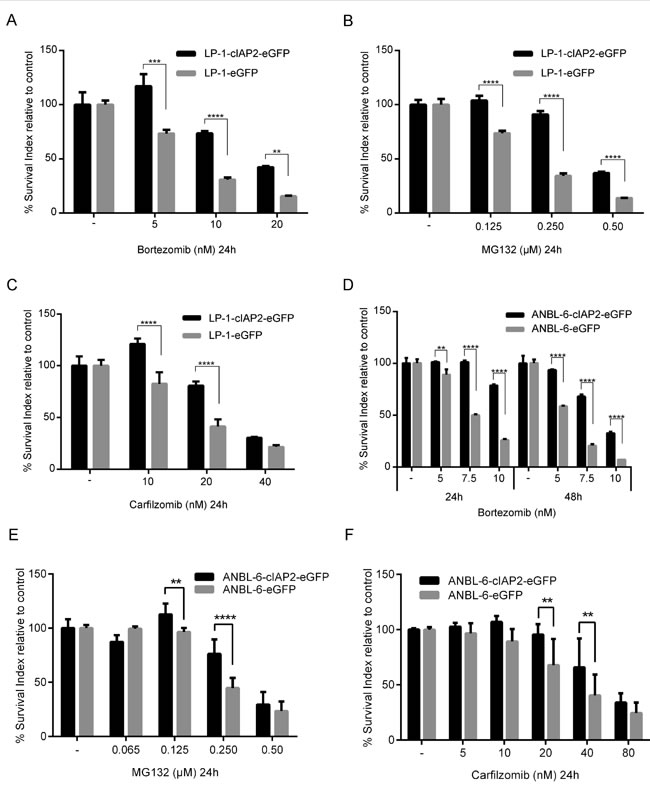 cIAP2 overexpression leads to tolerance against proteasome inhibitors in the TRAF3 mutated/deleted MM cell lines.