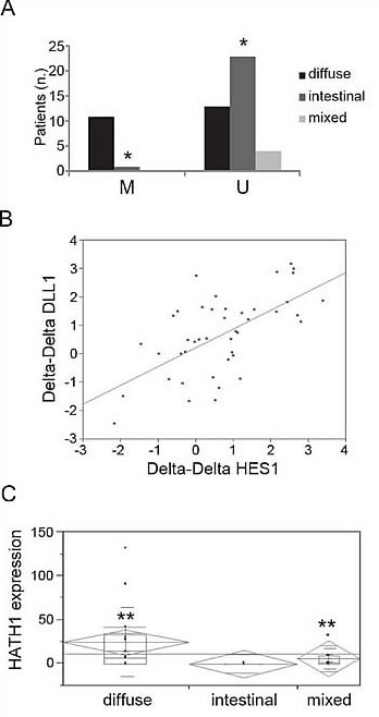 Methylation and expression analyses in GC patients.