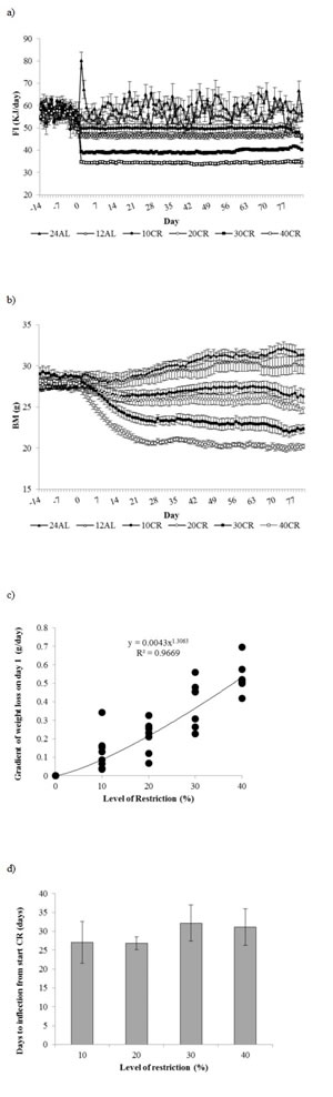 Food intake and body mass changes recorded over 3 months graded calorie restriction.