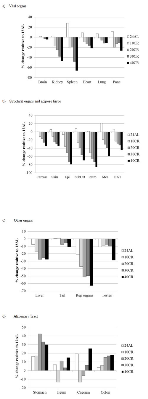 Changes in organ size following three months of graded calorie restriction (CR).