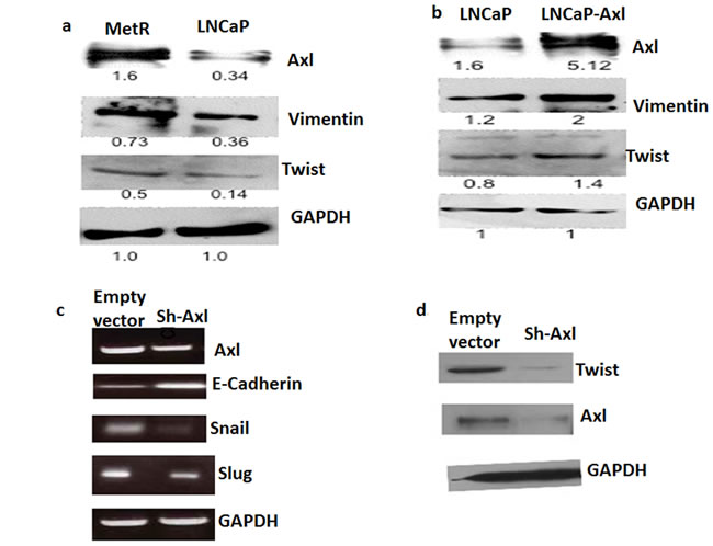 Figure 6: