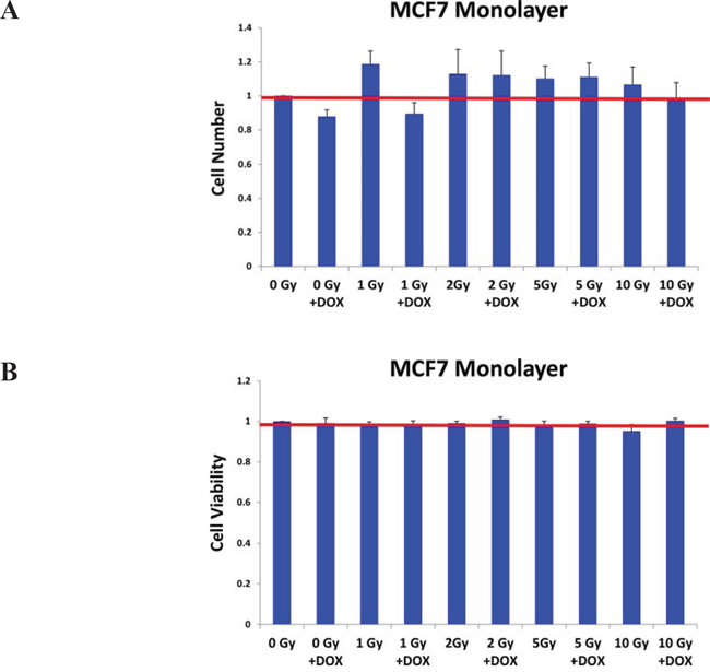 Doxycycline pre-treatment does not inhibit the growth and viability of MCF7 cell monolayers.