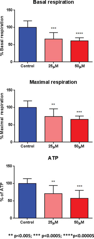 Doxycycline quantitatively reduces respiration (basal and maximal) and ATP levels.