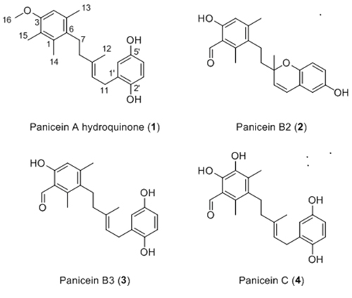 Structure of paniceins isolated and identified from Haliclona (Soestella) mucosa.