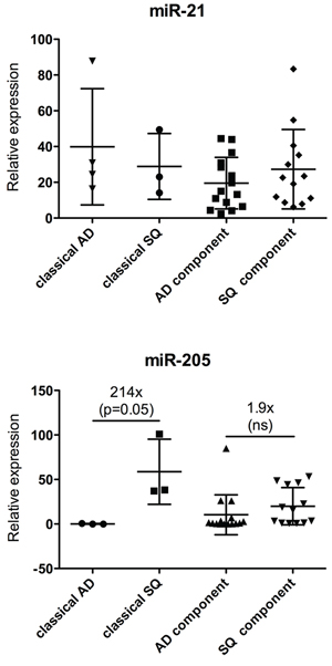 Expression analysis of miR-21 (upper panel) and miR-205 (lower panel) in ADSQ components.