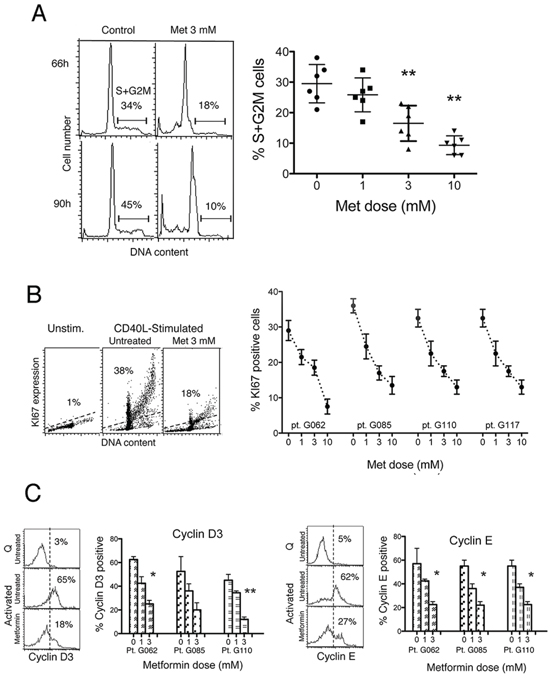 Metformin impairs cell cycle entry of CLL cells.