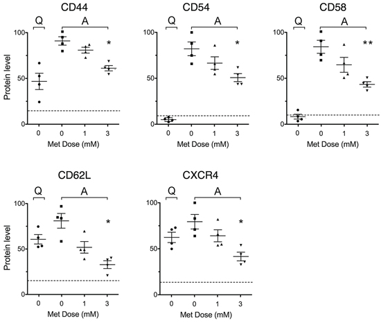 Metformin impairs stimulation-induced up-regulation of adhesion and homing molecule expression.