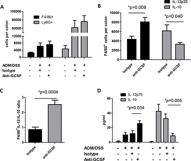 G-CSF neutralizing antibody treatment changes macrophage responses in AOM/DSS treated mice.