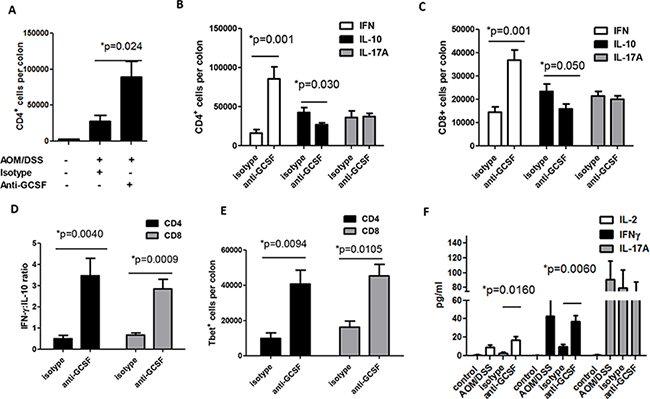 G-CSF neutralizing antibody changes T cell responses in AOM/DSS treated mice.