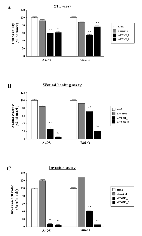 Effect of silencing of