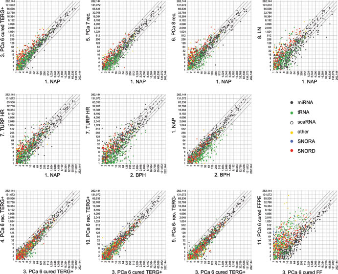 Global expression changes of sncdRNAs in normal and malignant prostate tissue.&nbsp;