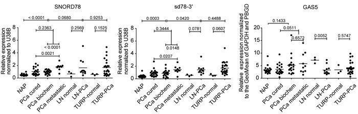 Q-PCR validation of snoRNA and sdRNA expression in an independent cohort of patient samples.