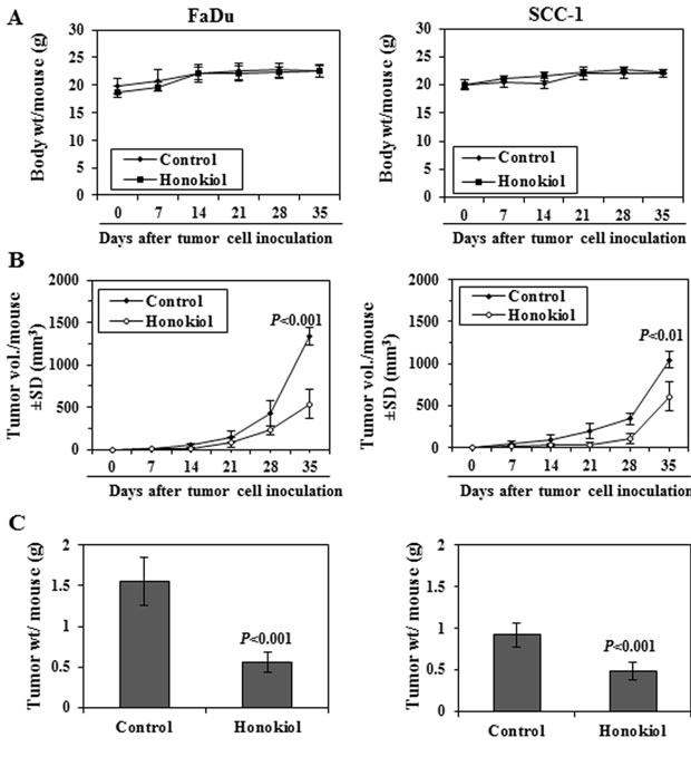 Administration of honokiol by oral gavage inhibits the growth of FaDu and SCC-1 cells grown as tumor xenograft in athymic nude mice.