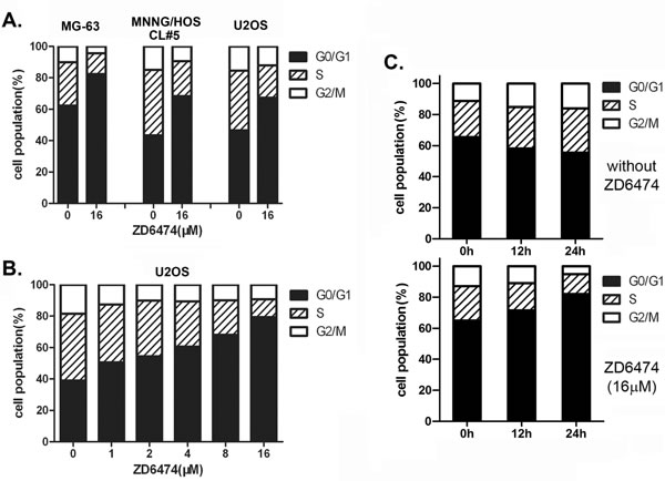 ZD6474 induces cell cycle arrest in human osteosarcoma cell lines.
