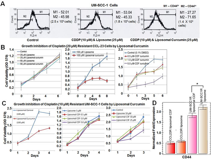 Higher sensitivity of cisplatin resistant cells to liposomal CDF.