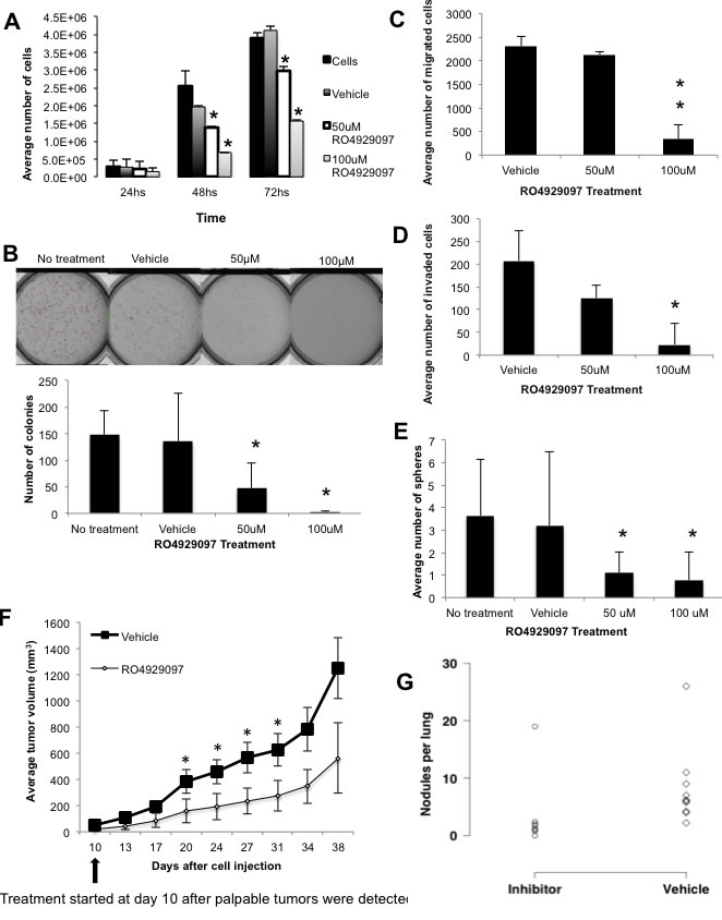 Figure 6: