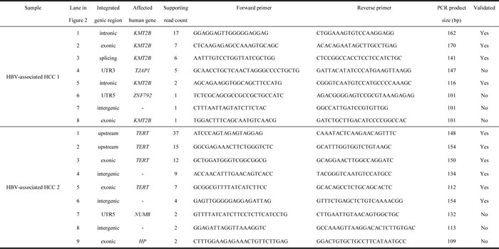 Table-2