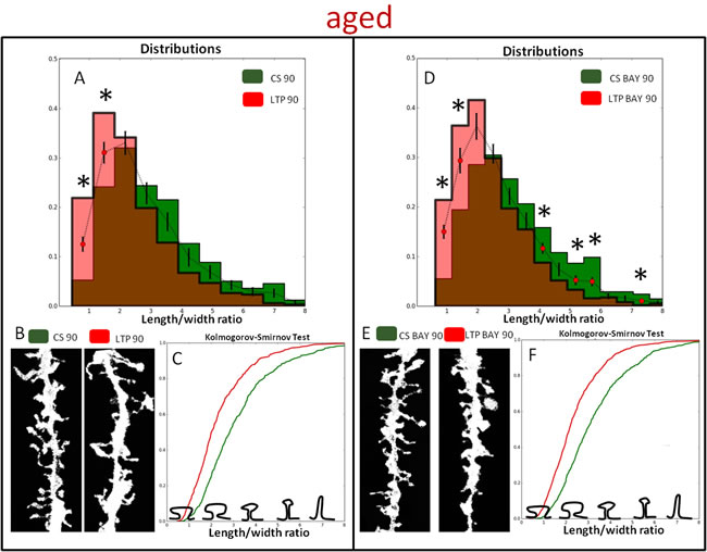 Glycogen phosphorylase inhibitor, BAY U6751, affects HFS induced dendritic spine morphology in aged animals.