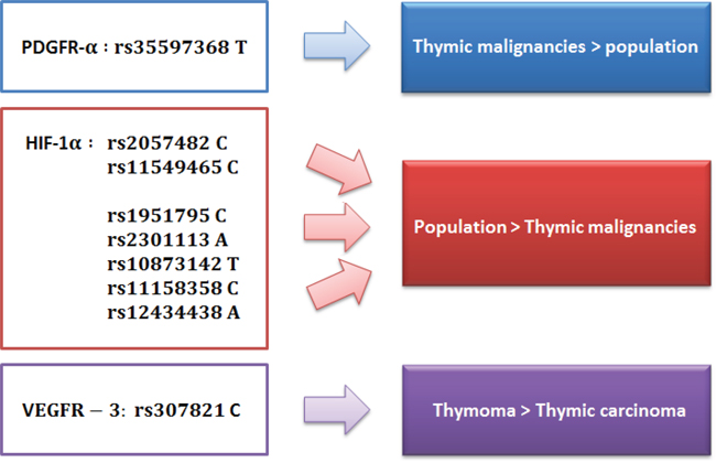 SNPs distribution in general population, thymomas and thymic carcinomas.