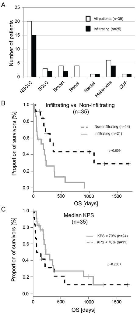 Histological distribution of the investigated samples and impact of the metastatic infiltration on overall survival (OS).