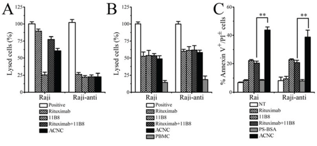 In vitro tumor suppression of ACNC against Raji and Raji-anti cells.