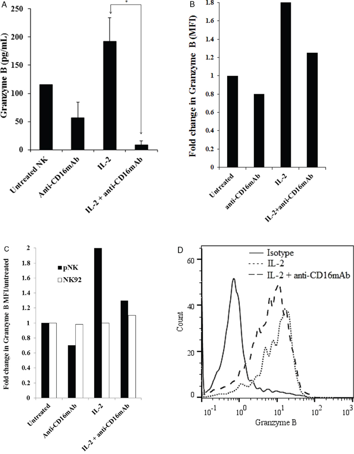 CD16 triggering in primary NK cells inhibited granzyme B.