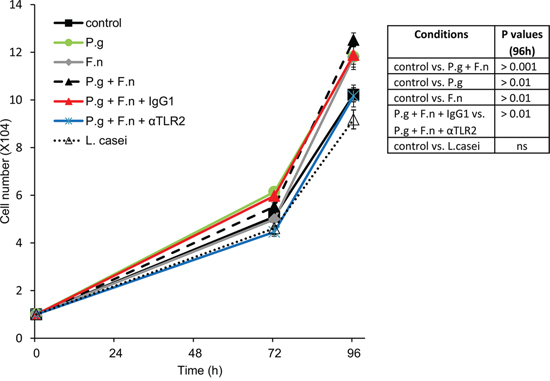 P. gingivalis and F. nucleatum stimulate in vitro proliferation of human SCC cells.