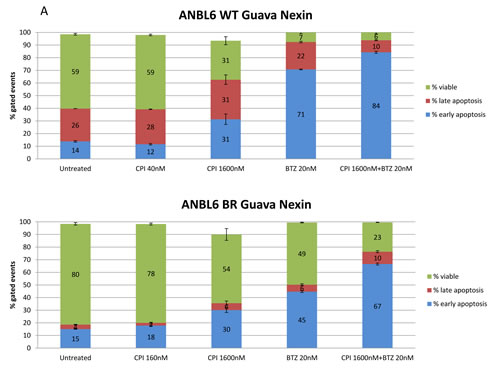 CPI203 and BTZ are synergistic in assays of apoptosis, cell growth, and cell viability in a patient sample.