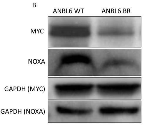 fig4b