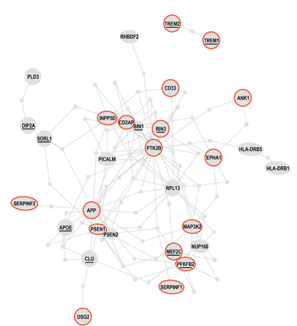 The Alzheimer&#x2019;s disease susceptibility network.