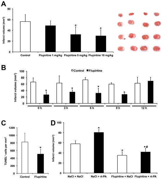 Flupirtine induces acute neuroprotection with a broad therapeutic window.