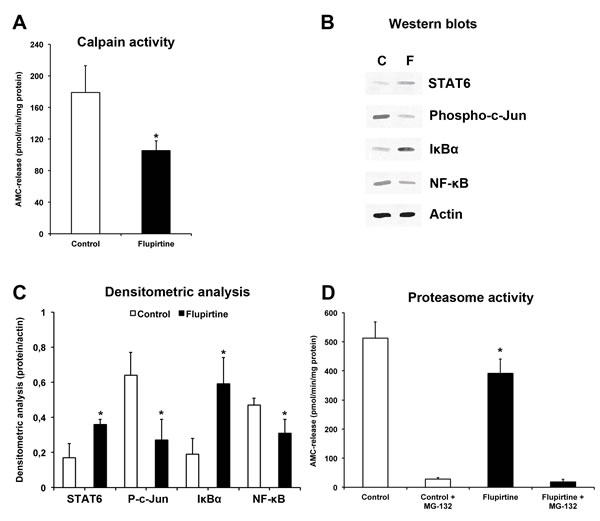 Flupirtine exerts acute neuroprotection via modulation of JNK and NF-&#x3ba;B signaling pathways resulting in reduced proteasomal activity.