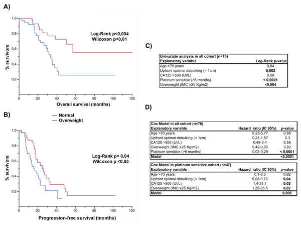 Overweight status is an independent factor affecting outcome in ovarian cancer.