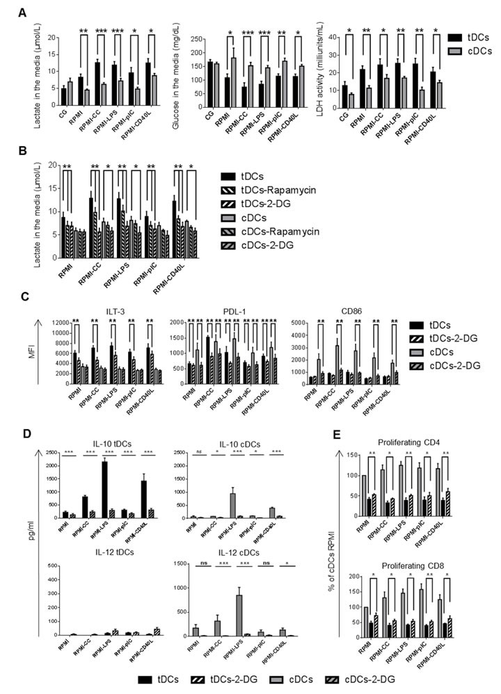 Enhanced glycolysis regulates tolerogenic phenotype and function of Dex/VitD tDCs.