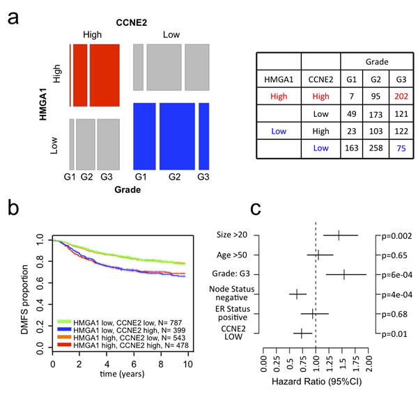 CCNE2 expression correlates with HMGA1 expression in breast cancer and tumor aggressiveness.
