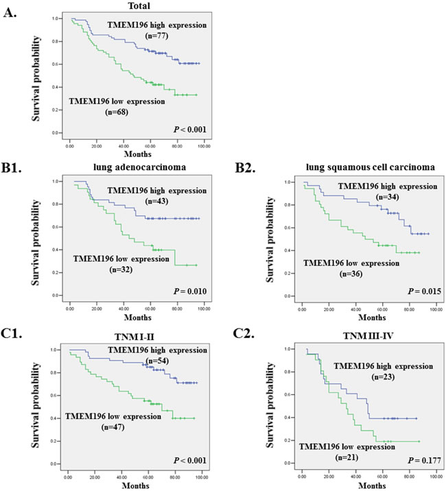 Low TMEM196 expression is associated with poor survival of lung cancer patients.