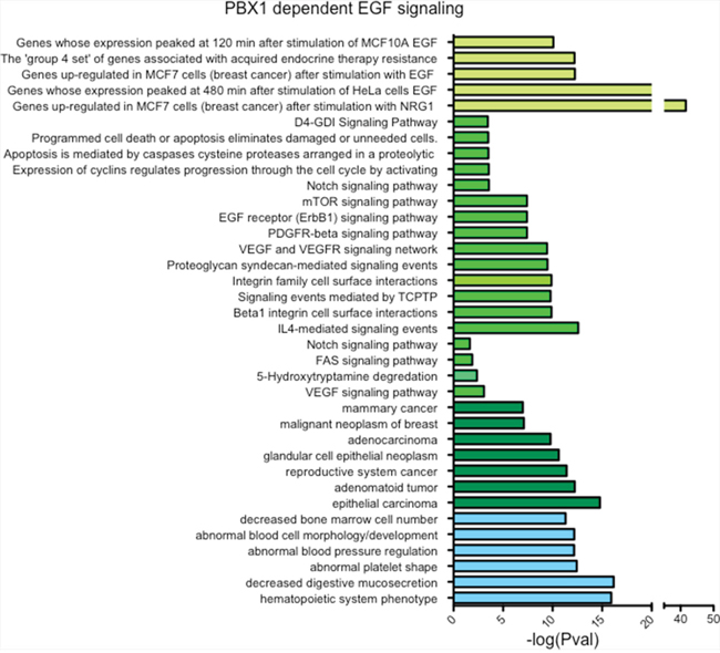 PBX1 controls the expression of genes associate with breast cancer progression.