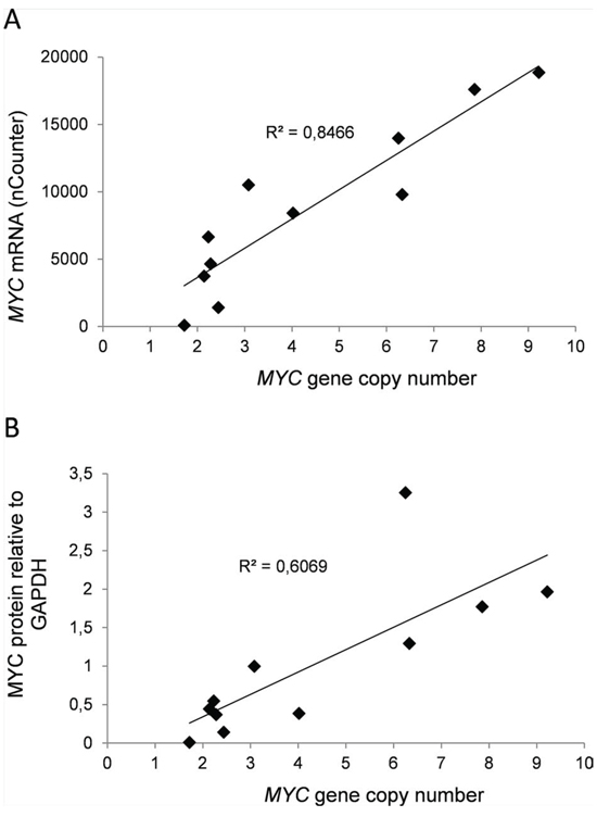 Expression of MYC in myeloma cell lines correlated positively with sensitivity to MYC inhibition.