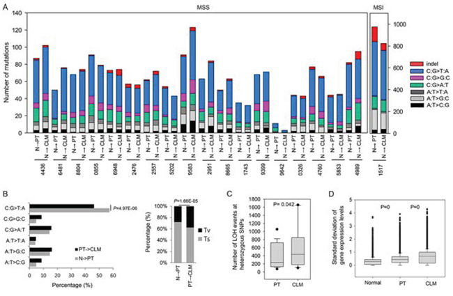 Molecular patterns of PTs and CLMs.